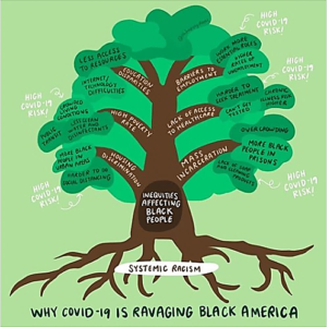 tree diagram of why covid i-19 is ravaging black americas 