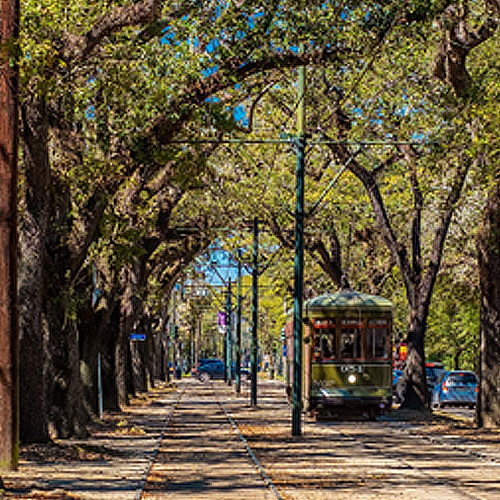 train in between trees