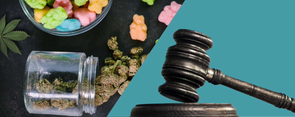 cannabis products with a judge' gavel