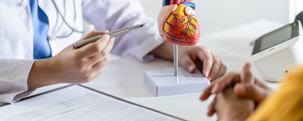 Doctor showing patient a 3D figure of a heart