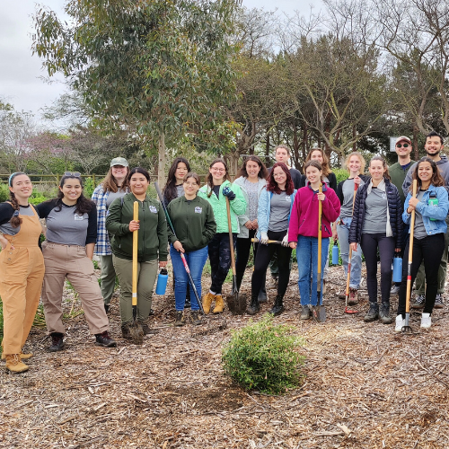 CivicSpark fellows with shovels planting trees