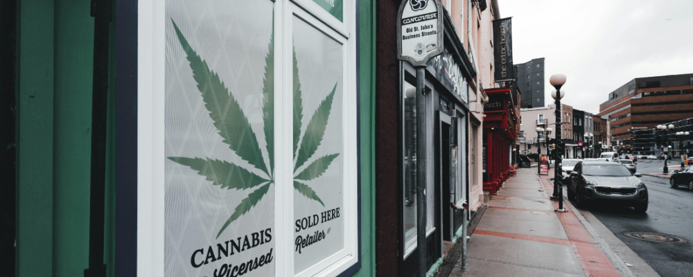 cannabis retailer