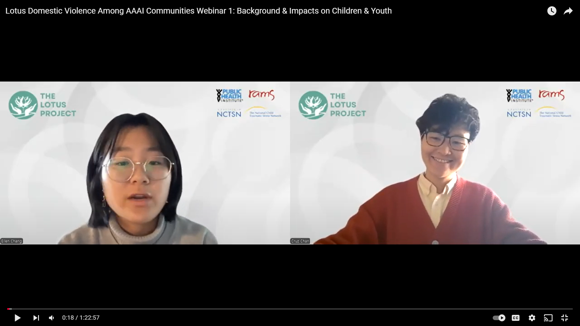 screenshot from webinar about Domestic Violence Among Asian American & Asian Immigrant (AAAI) Communities