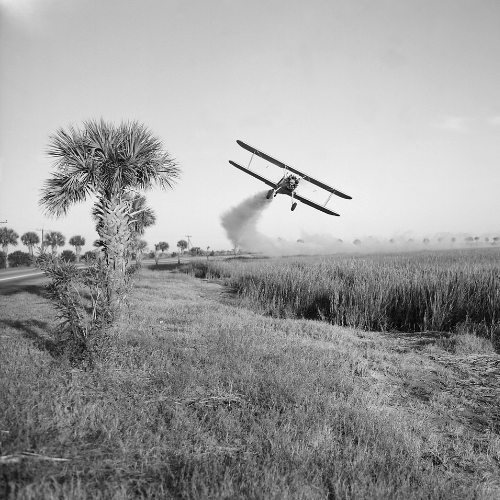 A bi-plane is spraying DDT insecticide during malaria control operations in Savannah, Georgia. Ca. 1950.